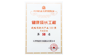 战略性新兴产业百强第58名